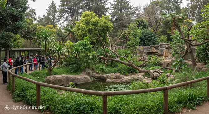 Зоопарк Консепсьона