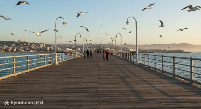 Пирс Вергара