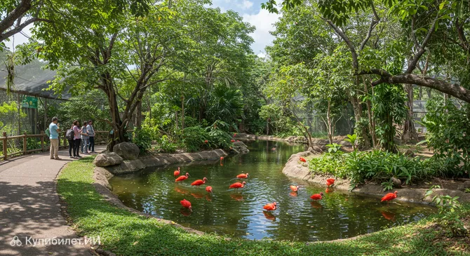 Зоопарк Барранкильи