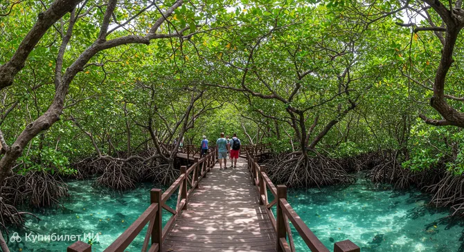 Национальный парк мангровых лесов Олд-Пойнт