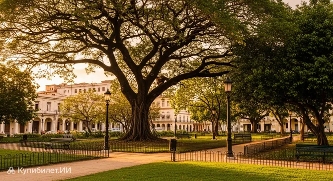 Парк Фратернидад