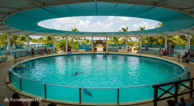 Дельфинарий Варадеро