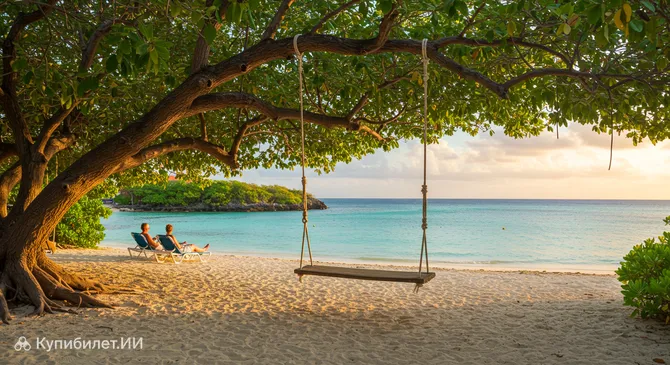 Качели на пляже среди мангров