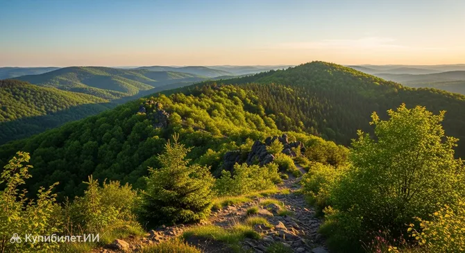 Зволска-Гомоле
