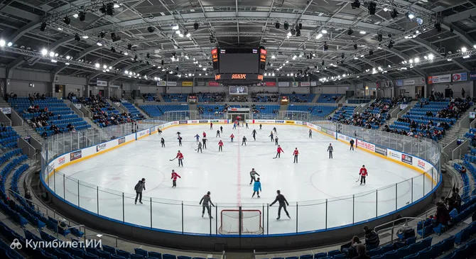 Зимний стадион Людека Чайки