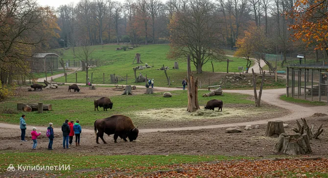 Вильдпарк Графенберг