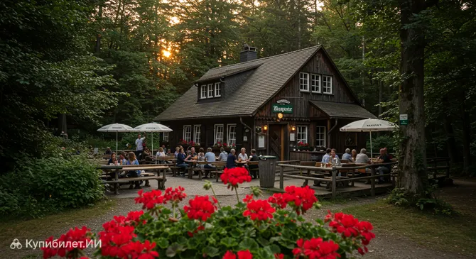 Лесной ресторан Святого Валентина