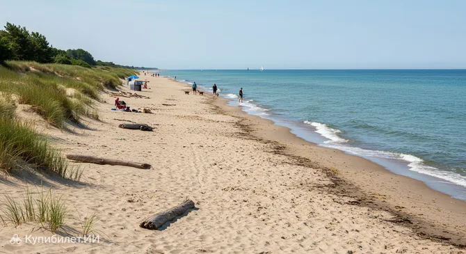 Пляж для собак Херингсдорф Банзин