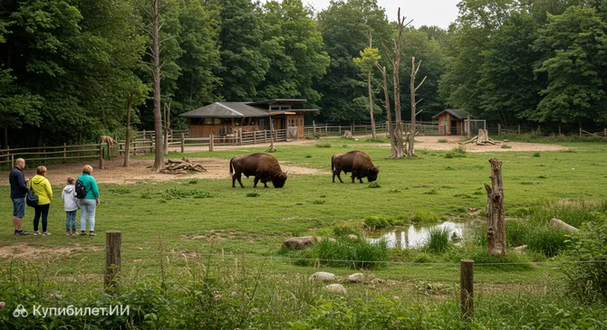 Вильдгаттер Хильдесхайм