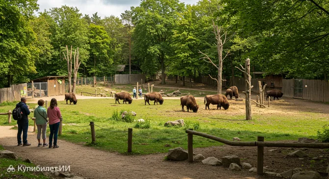 Зоопарк Раммельсберг