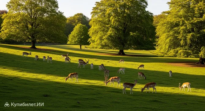 Олений парк Вайле