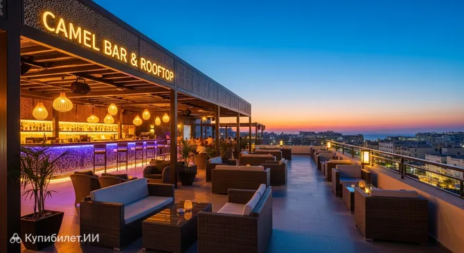 Кэмел Бар и Руптоп