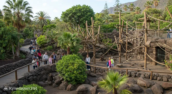 Обезьяний парк Тенерифе