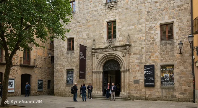 Музей кино — коллекция Томаса Майоля