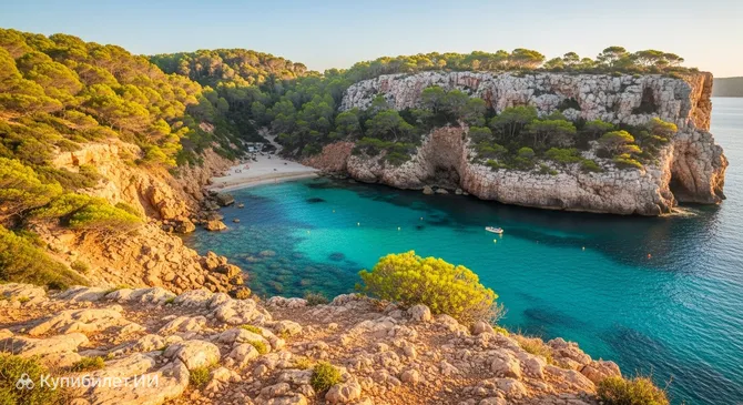 Кала Оливера