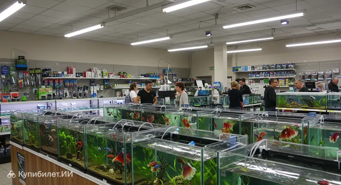 Аквариум ПесВерде