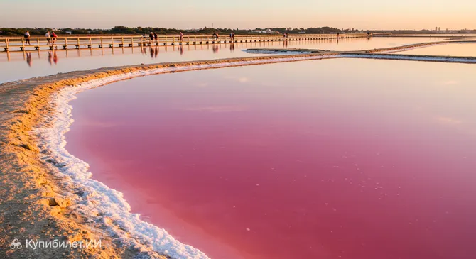 Природный парк Лагунас-де-ла-Мата и Торревьеха