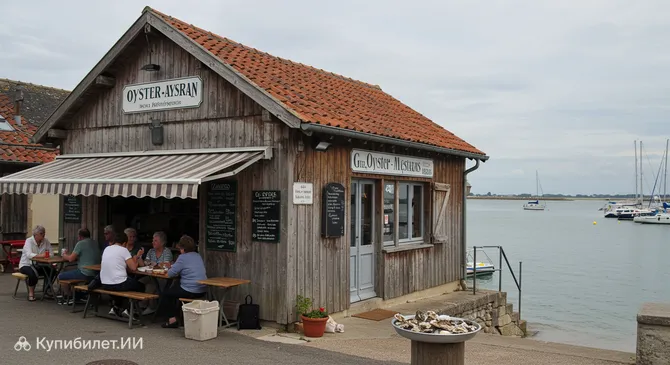 Дом устрицы