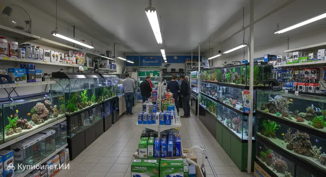 Аквариум Зоантус