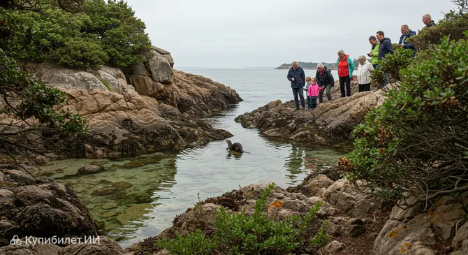 Региональный природный парк Залив Морбиан