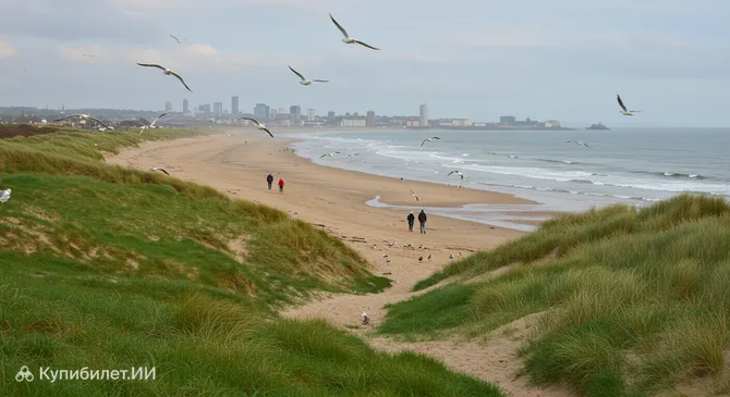 Природный заповедник Донмаут