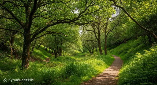 Лиснабрени и Крегах-Глен