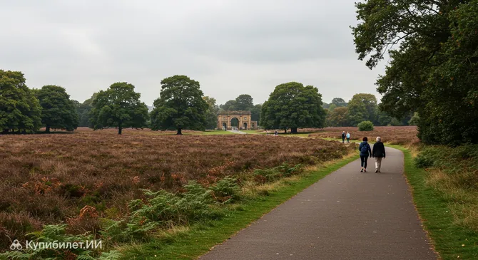 Саттон-парк