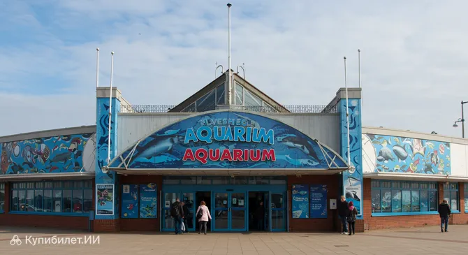 Аквариум Блэкпула