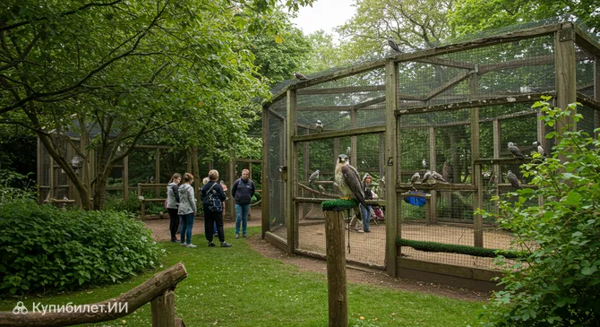 Питомник сов и хищных птиц