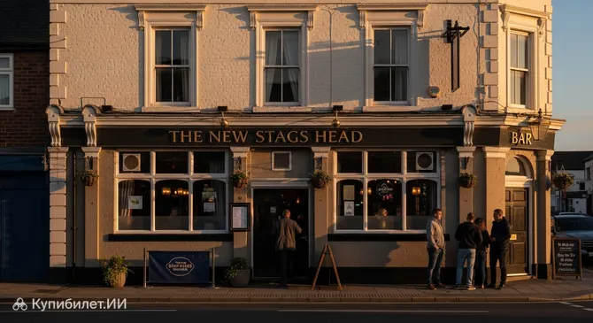 Нью Стэгс Хед