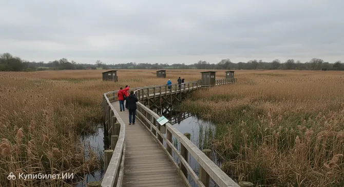Бертон Мир Уэтлендс
