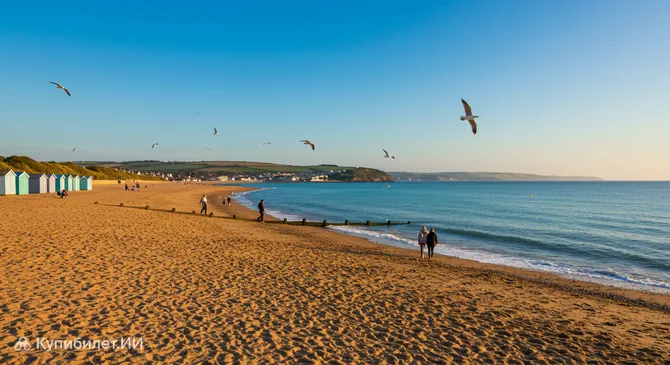 Пляж Долиш-Уоррен