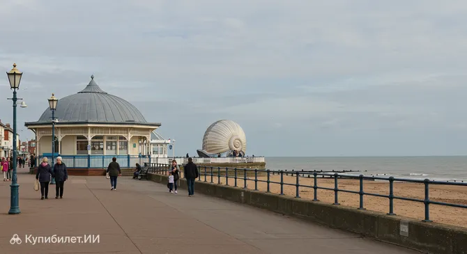 Раковина Мэри