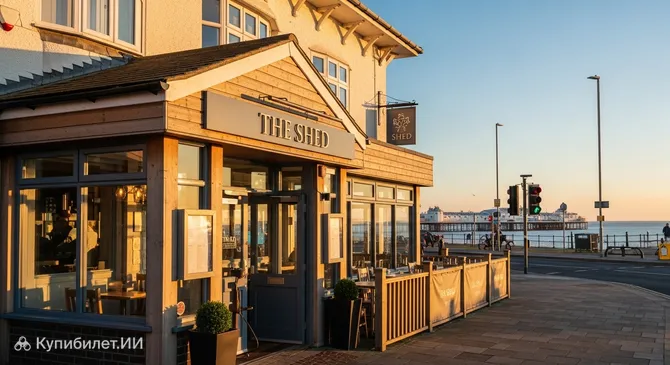 Шед