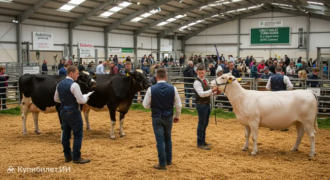 Великое Йоркширское шоу