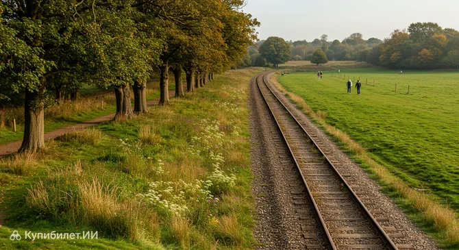 Лесопарк Сэнс-Вэлли