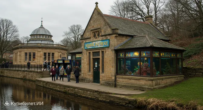 Аквариум и аркада Мэтлок Бат