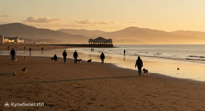 Пляж для прогулок с собаками