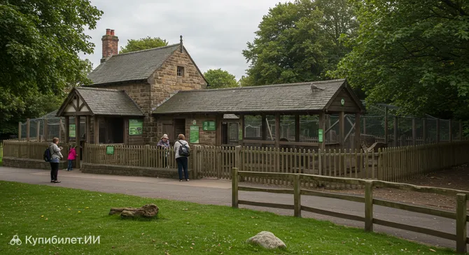 Пэтс Корнер