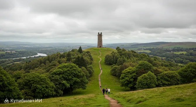 Лесопарк Киннулл-Хилл