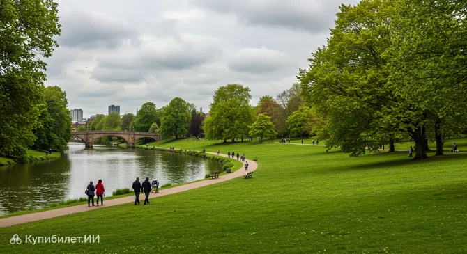 Кингс-Мидоу