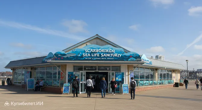 Скарборо Си Лайф