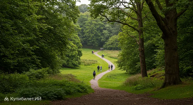 Парк Хей Вудленд