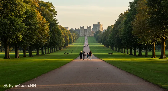 Виндзорский большой парк