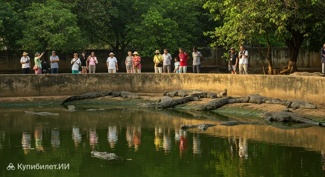 Качикалли — пруд с крокодилами