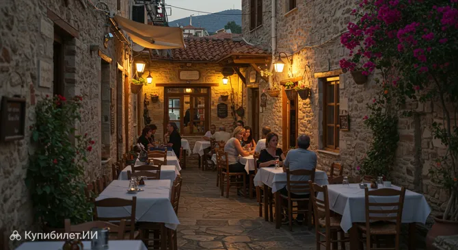 Ципурадико то 50