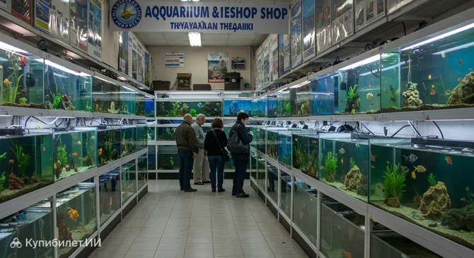 Аквариум и зоомагазин Салоники