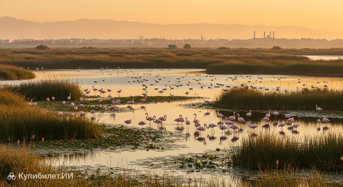 Лагуна Калохори