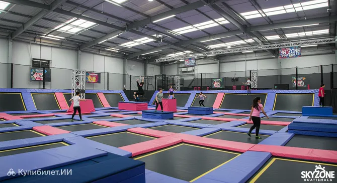 Батутный парк Sky Zone