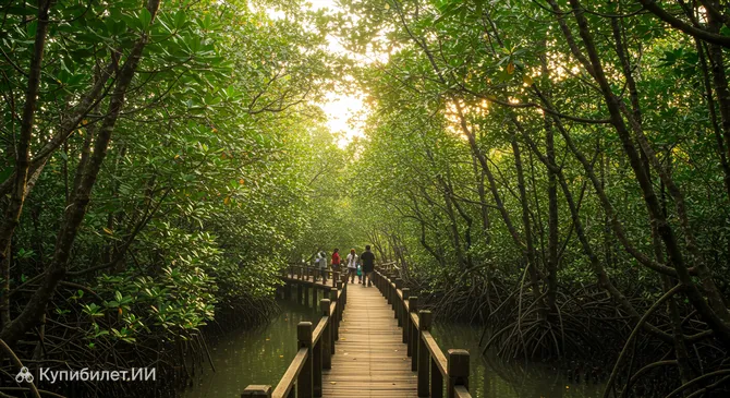 Мангровый лес Марго Мульо